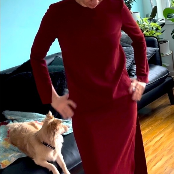 Babaton dress - Picture 1 of 3